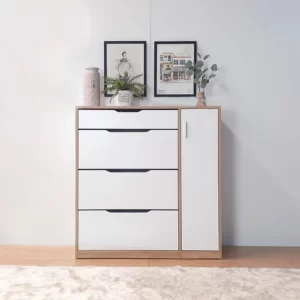 Tủ giày truyền thống PT(4)